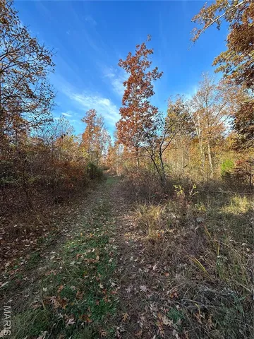 $59,000 | 1 Bobwhite Lane, Fairdealing, MO 63939