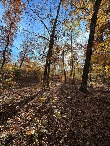 $59,000 | 1 Bobwhite Lane, Fairdealing, MO 63939