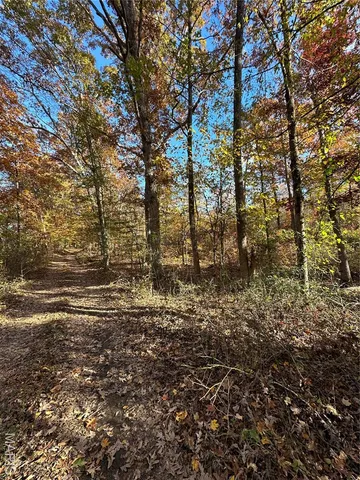 $59,000 | 1 Bobwhite Lane, Fairdealing, MO 63939