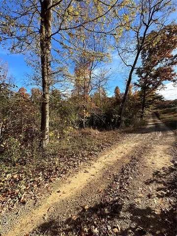 $59,000 | 1 Bobwhite Lane, Fairdealing, MO 63939