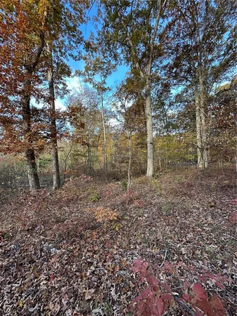 $59,000 | 1 Bobwhite Lane, Fairdealing, MO 63939