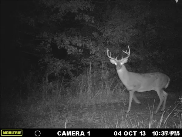 $59,000 | 1 Bobwhite Lane, Fairdealing, MO 63939