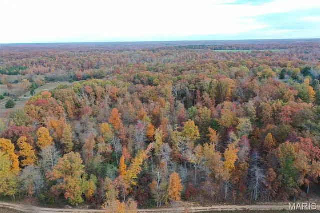 $59,000 | 1 Bobwhite Lane, Fairdealing, MO 63939