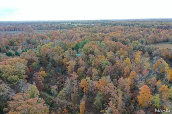 $59,000 | 1 Bobwhite Lane, Fairdealing, MO 63939