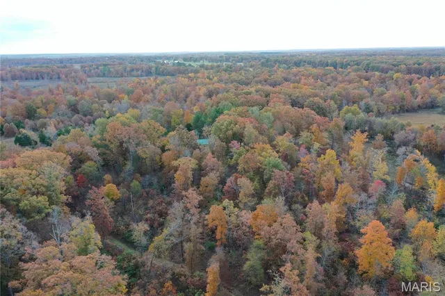 $59,000 | 1 Bobwhite Lane, Fairdealing, MO 63939