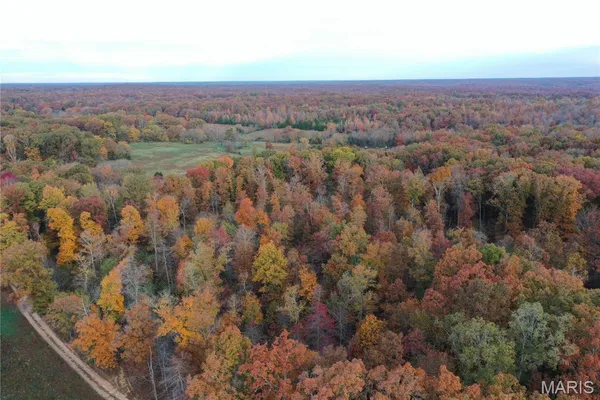 $59,000 | 1 Bobwhite Lane, Fairdealing, MO 63939