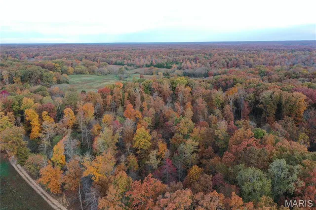 $59,000 | 1 Bobwhite Lane, Fairdealing, MO 63939