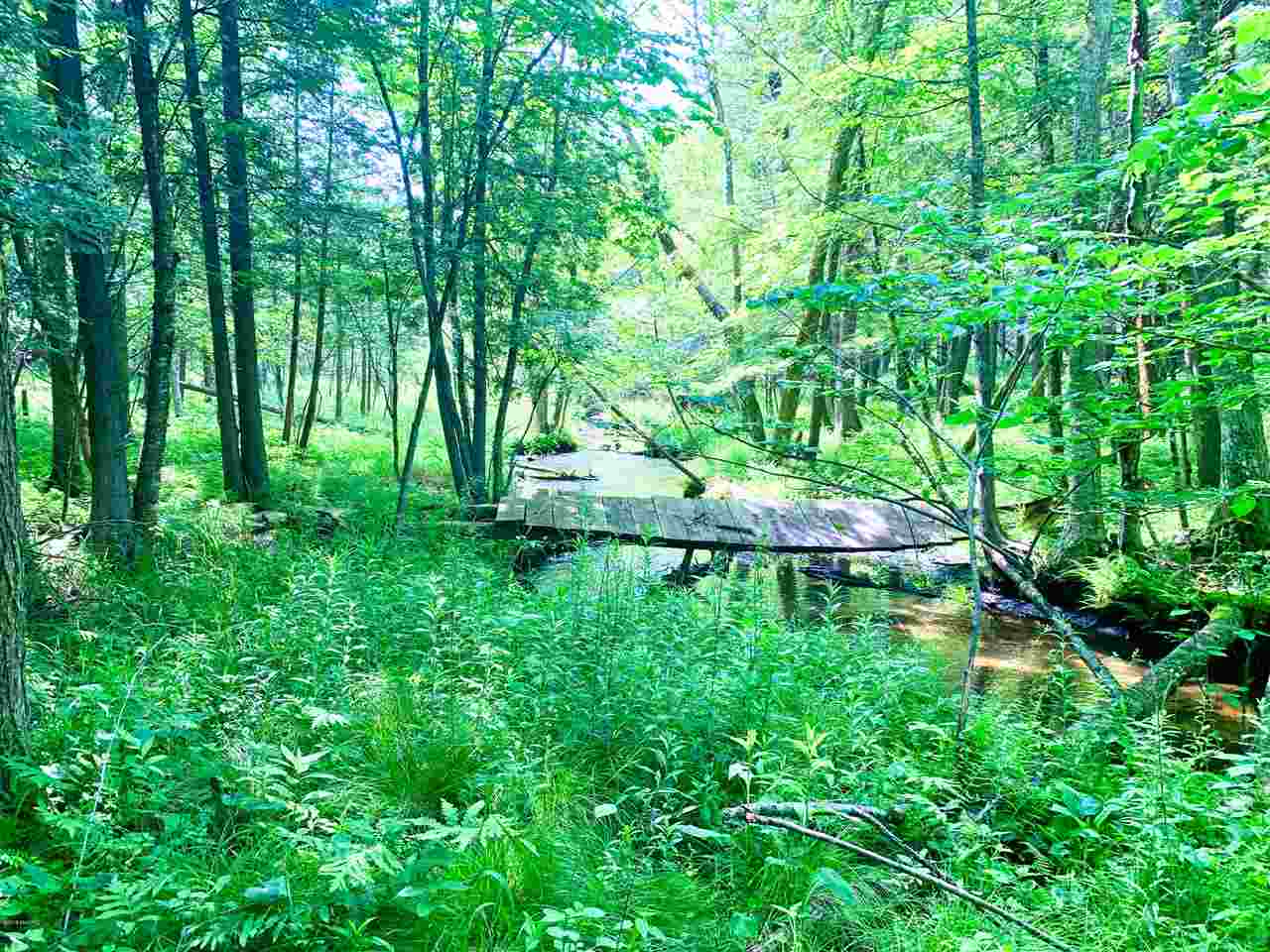 Tbd 7 Mile (86.47 Acres) Road Remus, MI 49340 - Photo 29 of 29