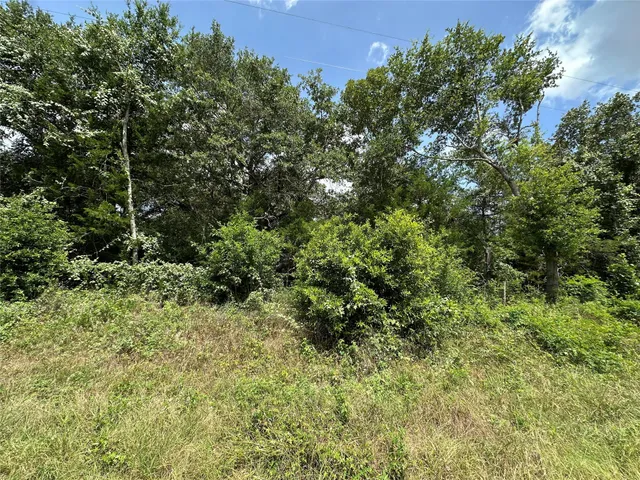 $75,000 | 0 Overlook Drive, Caldwell, TX 77836