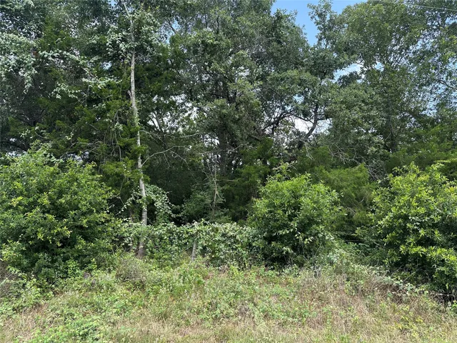 $75,000 | 0 Overlook Drive, Caldwell, TX 77836