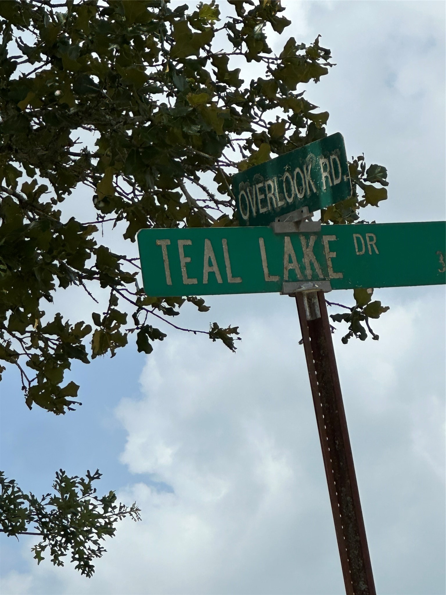 0 Overlook Drive Caldwell, TX 77836 - Photo 13 of 13 a view of a park with plants and trees