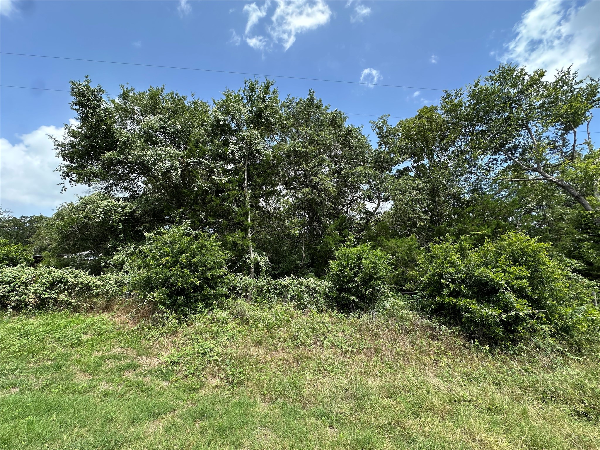 0 Overlook Drive Caldwell, TX 77836 - Photo 2 of 13 a view of a lush green forest