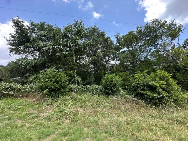 $75,000 | 0 Overlook Drive, Caldwell, TX 77836