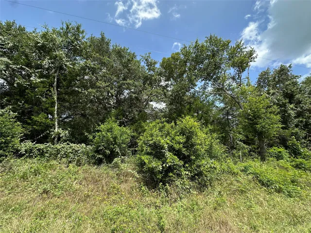 $75,000 | 0 Overlook Drive, Caldwell, TX 77836