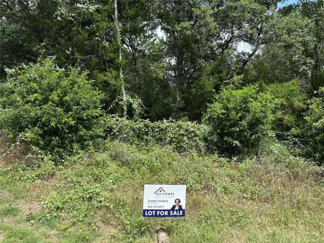 $75,000 | 0 Overlook Drive, Caldwell, TX 77836