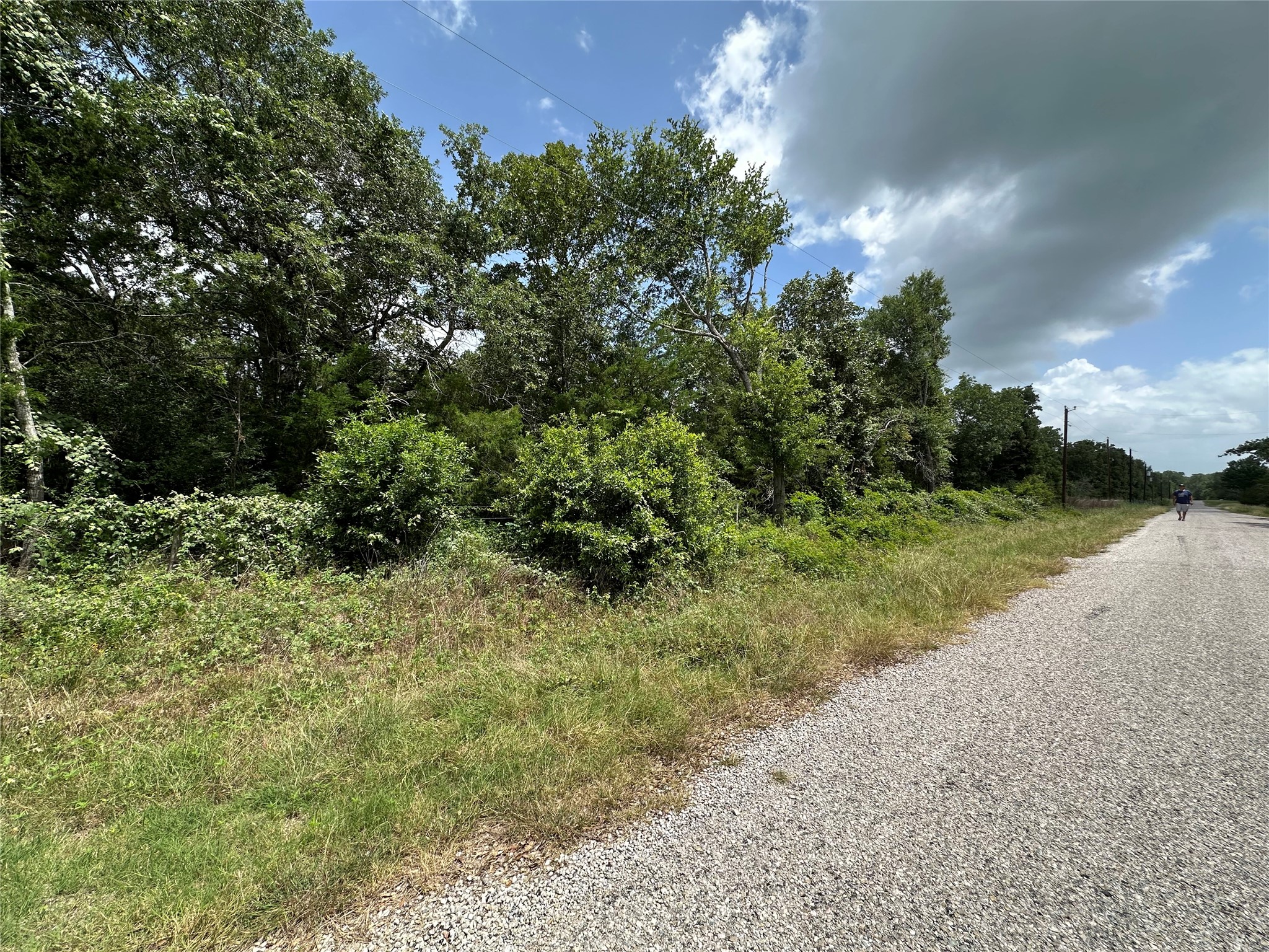 0 Overlook Drive Caldwell, TX 77836 - Photo 9 of 13 a view of a yard with plants and a bench