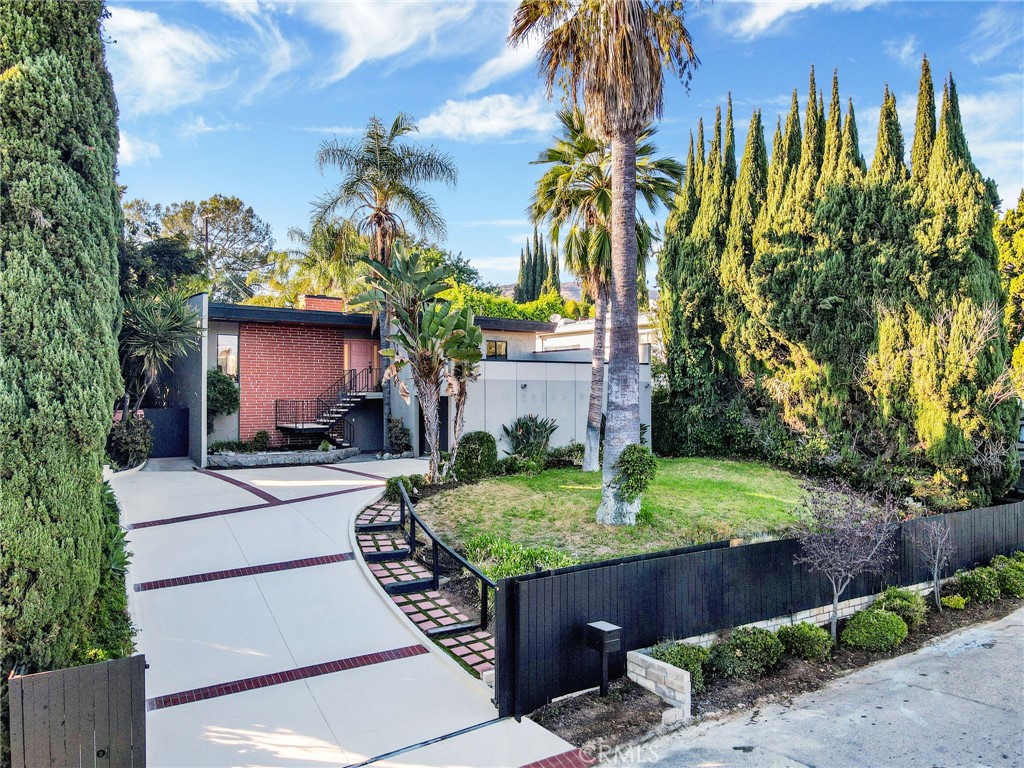 a view of a backyard with plants