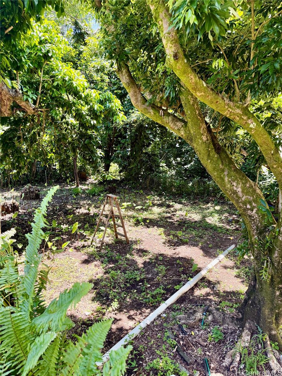 2816 Booth Road Honolulu, HI 96813 - Photo 17 of 17 a view of a tree with a yard