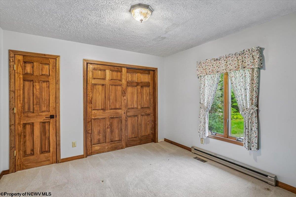 551 Sand Run Road Davis, WV 26260 - Photo 18 of 44 Gallery Image 18