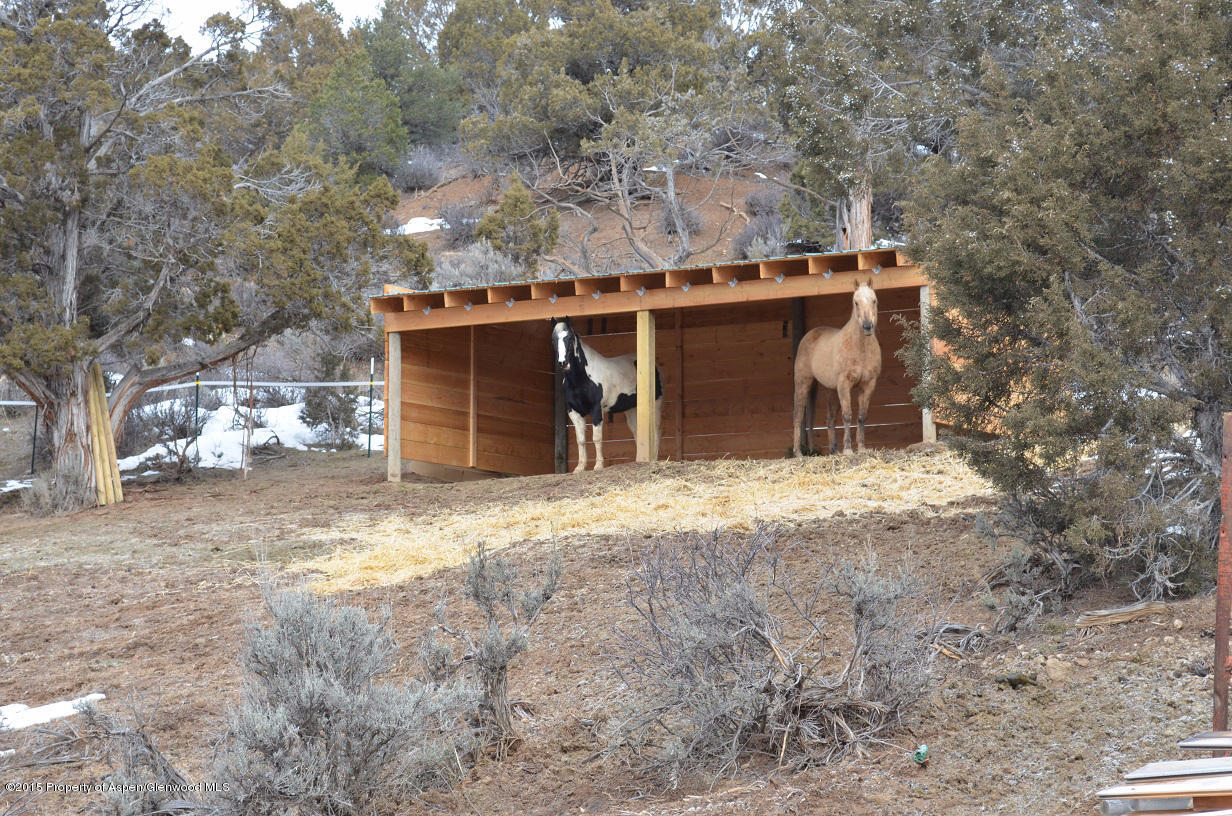 142 Happy Dog Trail Rifle, CO 81650 - Photo 23 of 39