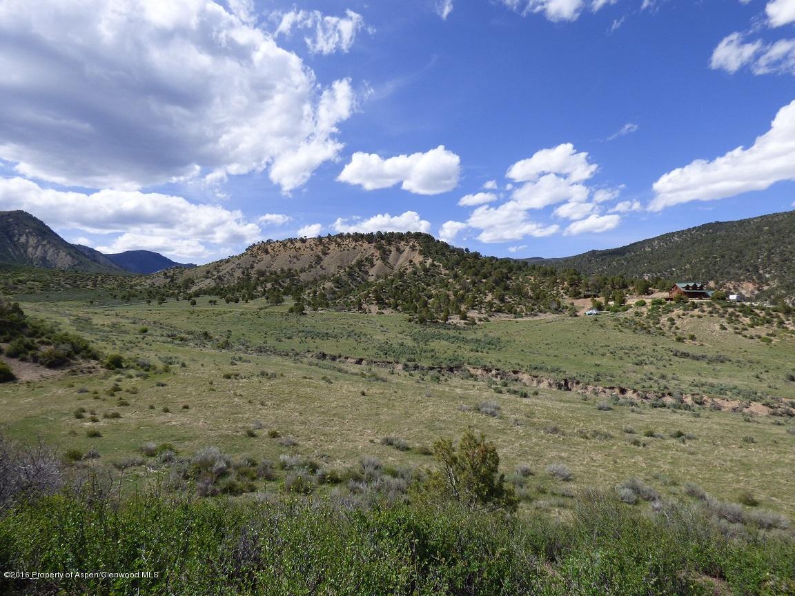 142 Happy Dog Trail Rifle, CO 81650 - Photo 38 of 39 a view of a big yard with lots of bushes