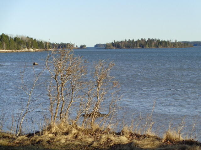 247 Rays Point Road Milbridge, ME 04658 - Photo 7 of 40 DSC05267