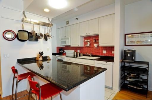 435 West Erie Street, Unit 1306 Chicago, IL 60654 - Photo 3 of 11