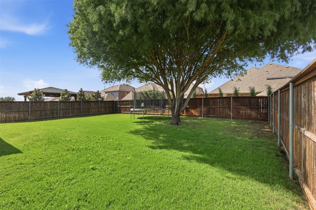 717 Allbright Road Celina, TX 75009 - Photo 28 of 37 Beautiful large tree