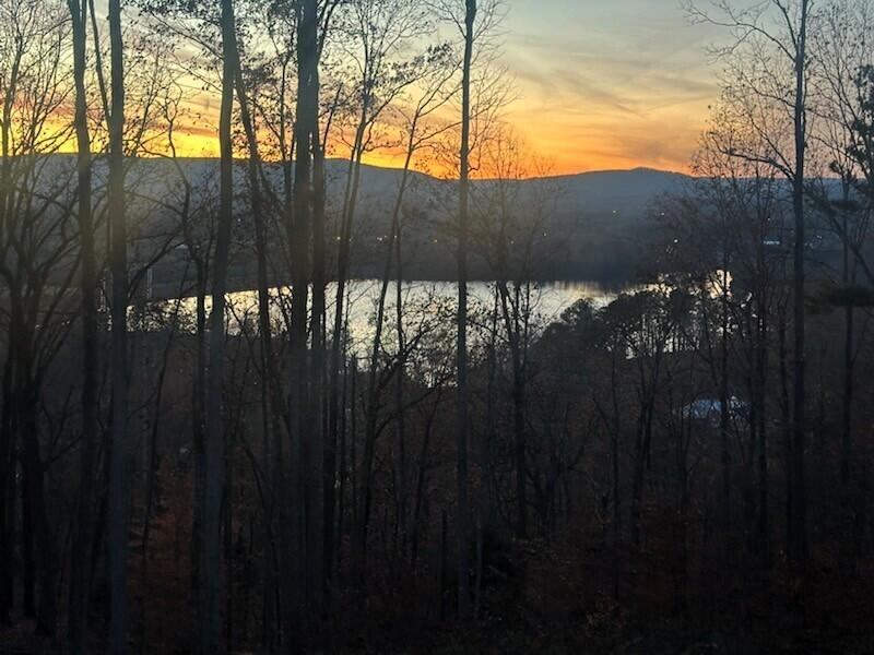 4384 Round Pond Road LaFayette, GA 30728 - Photo 3 of 72 1000009643