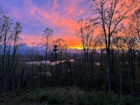 4384 Round Pond Road LaFayette, GA 30728 - Photo 4 of 72 1000009641