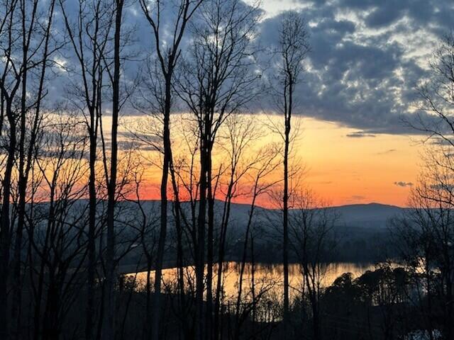 4384 Round Pond Road LaFayette, GA 30728 - Photo 5 of 72 1000009645