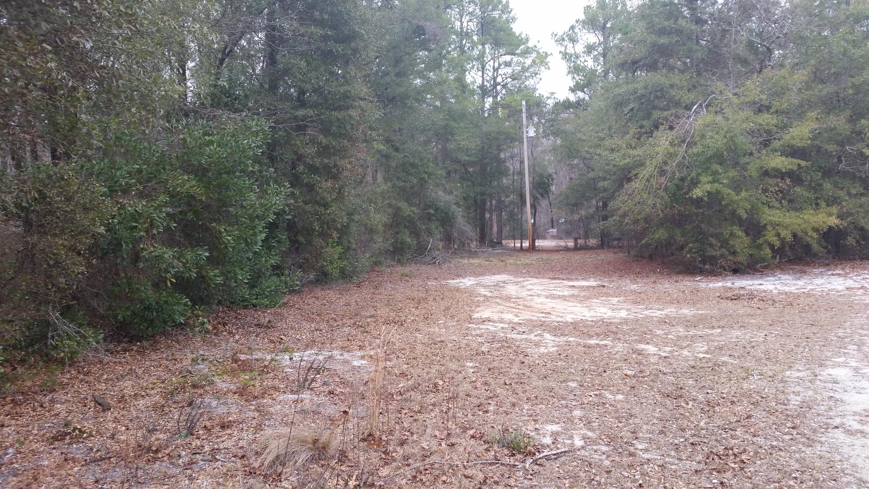 0 Riverfront Drive Reevesville, SC 29471 - Photo 2 of 21 Front 1