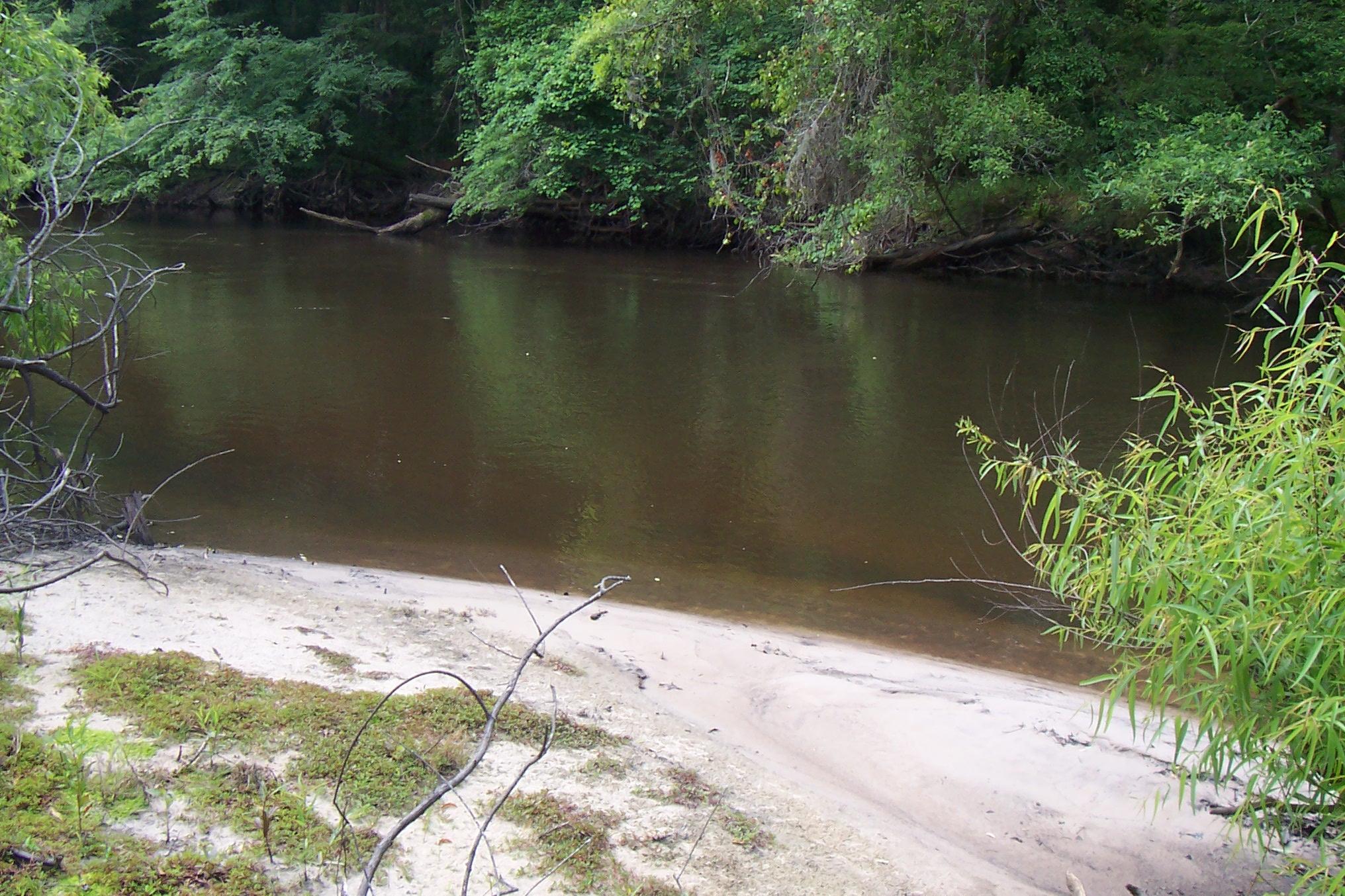 0 Riverfront Drive Reevesville, SC 29471 - Photo 11 of 21 Beach 1