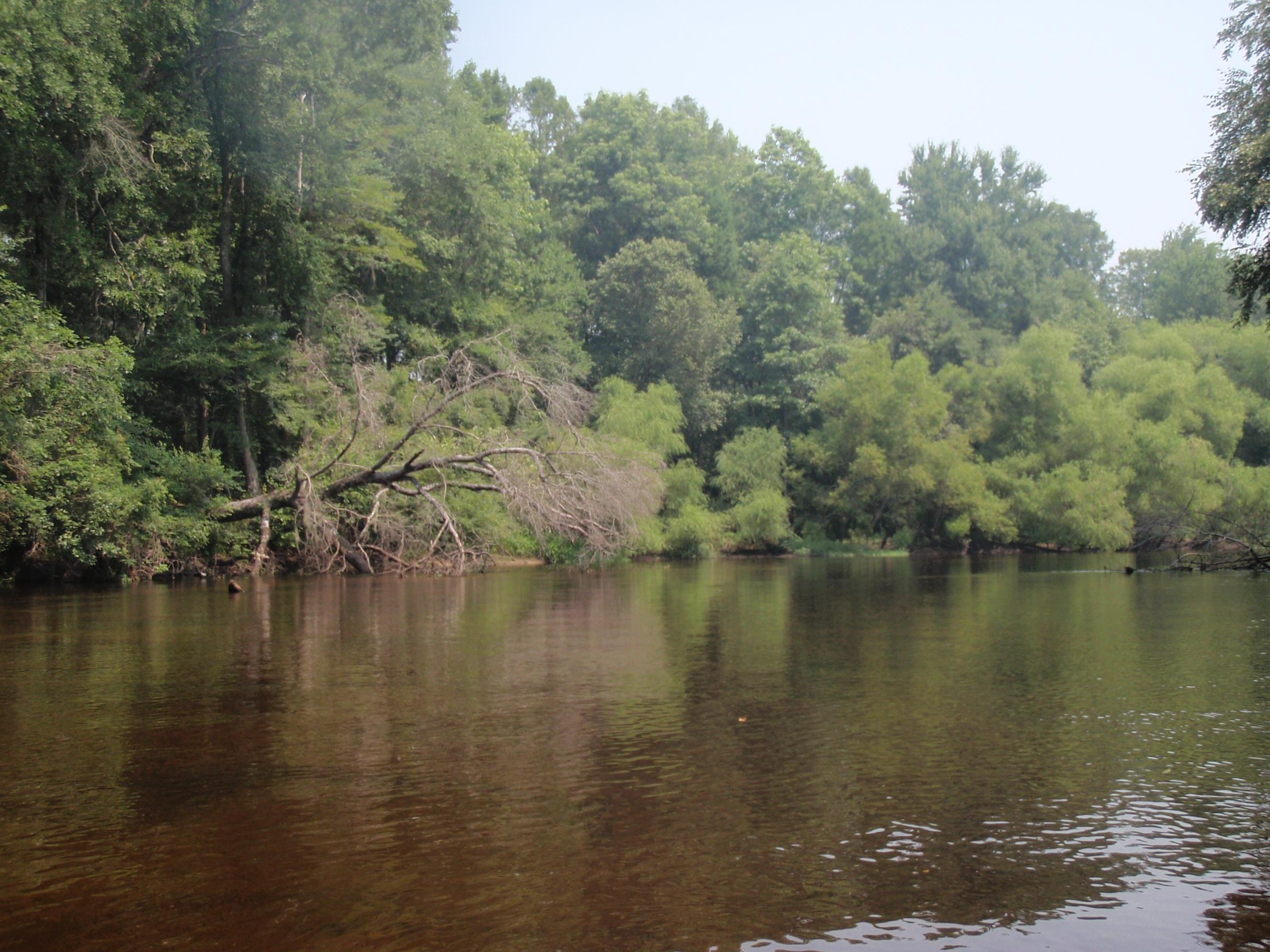 0 Riverfront Drive Reevesville, SC 29471 - Photo 13 of 21 View across from beach