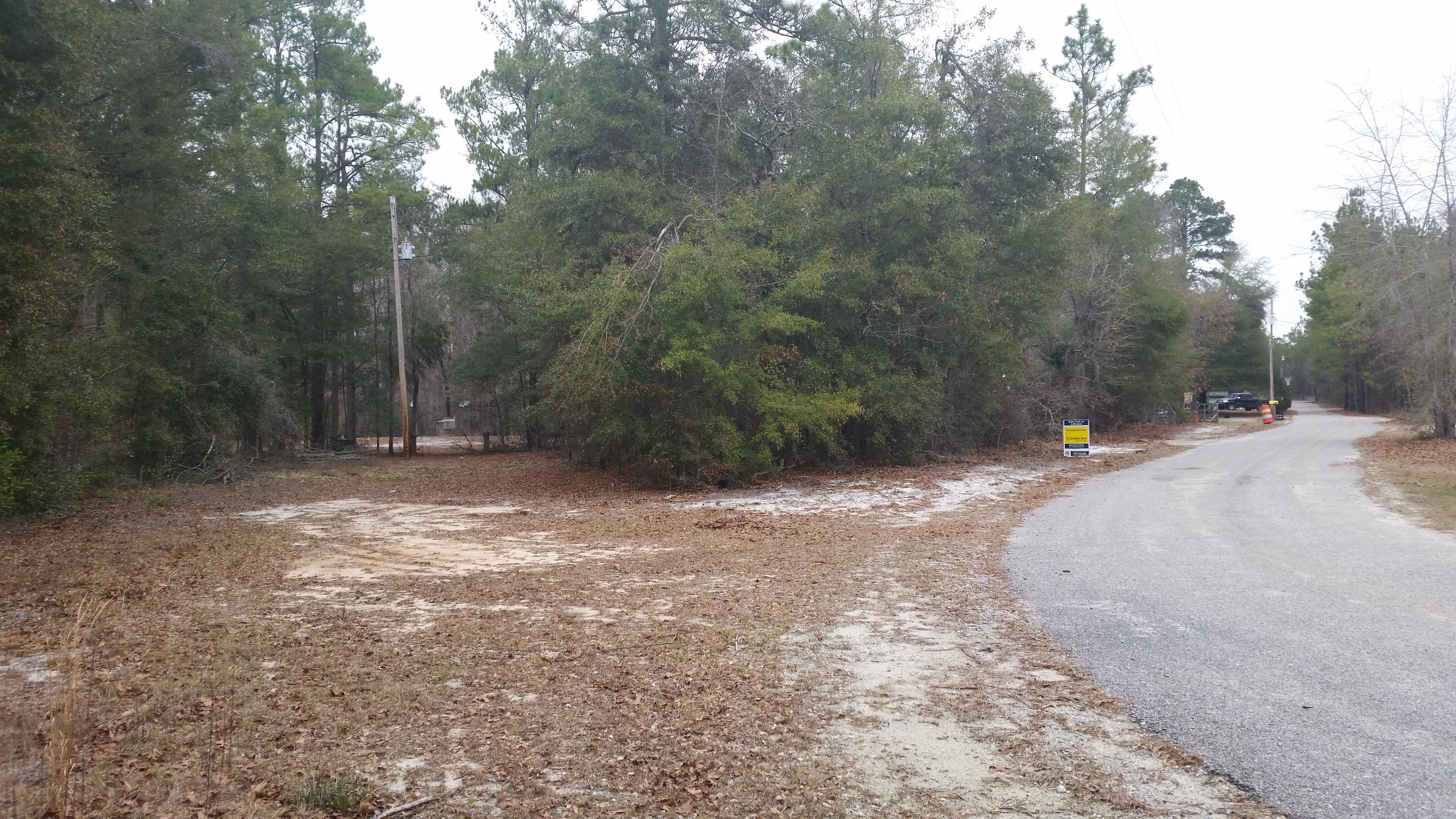 0 Riverfront Drive Reevesville, SC 29471 - Photo 3 of 21 Front 2