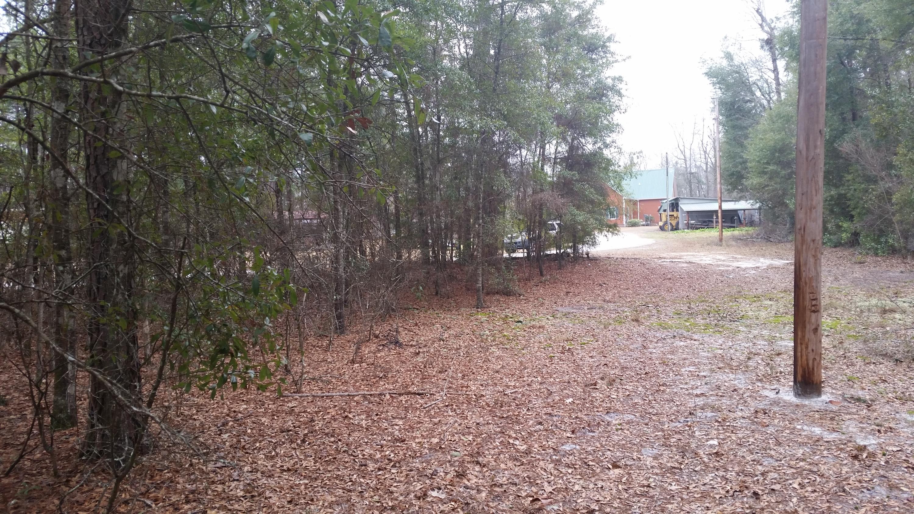 0 Riverfront Drive Reevesville, SC 29471 - Photo 5 of 21 Front 4