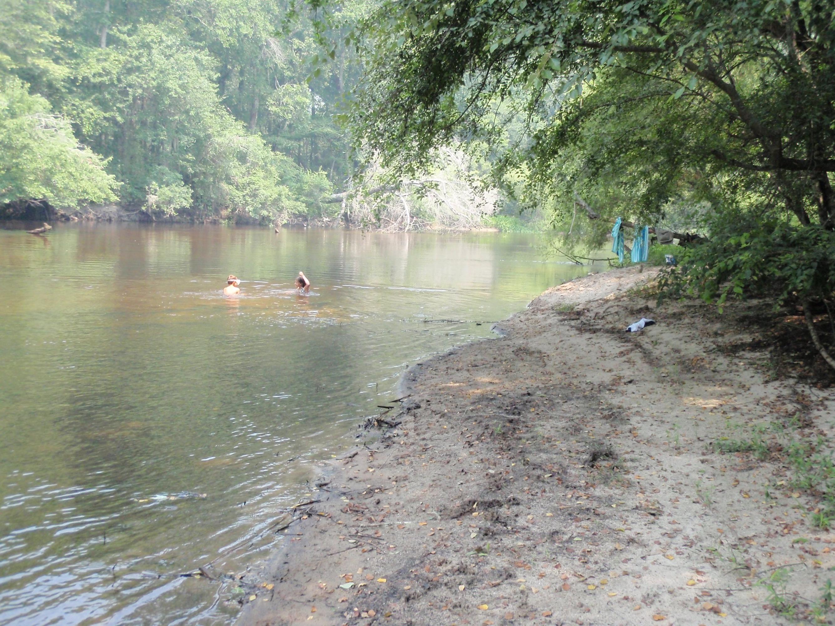0 Riverfront Drive Reevesville, SC 29471 - Photo 8 of 21 Beach looking North