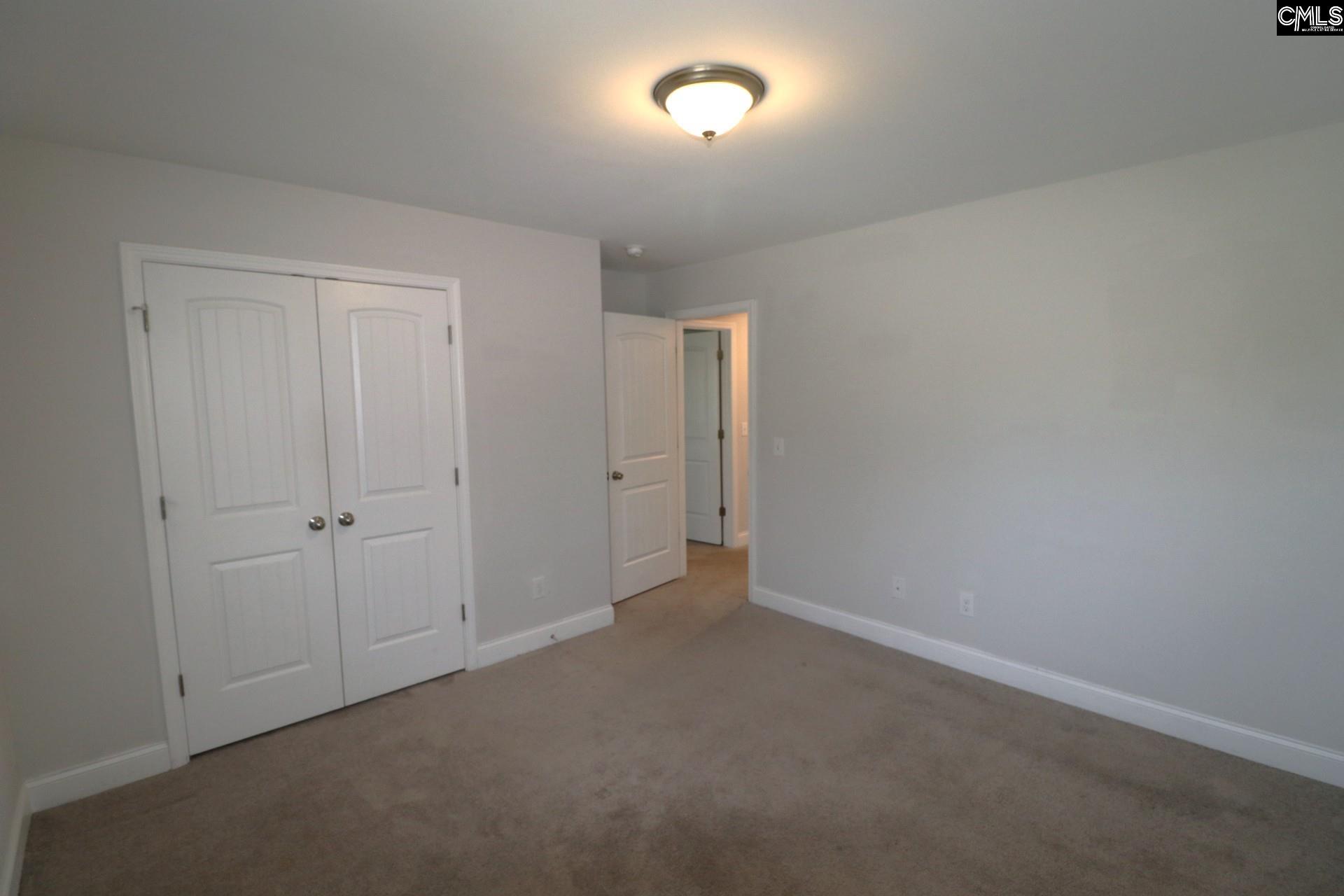 432 Thayer Street Chapin, SC 29036 - Photo 43 of 68