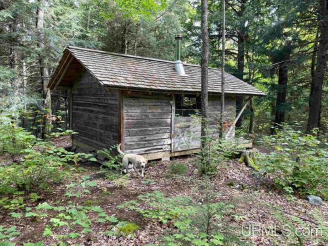 Tbd Tbd Loon Lake Road Michigamme, MI 49861 - Photo 3 of 10