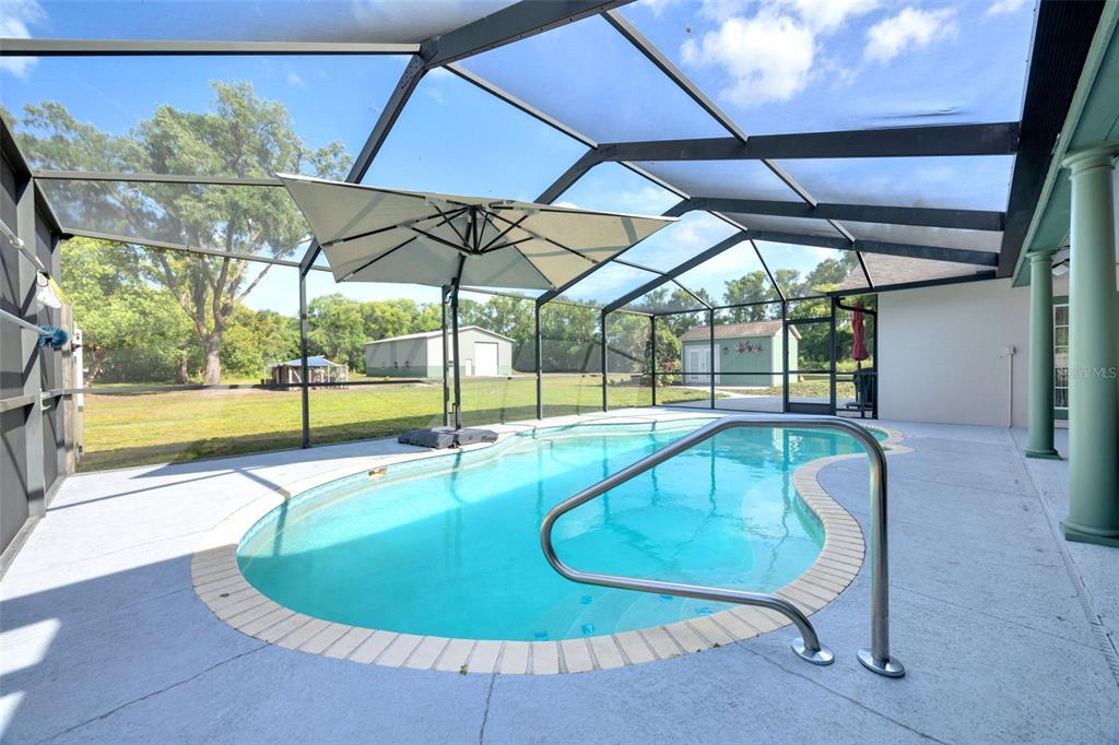 3535 Moores Lake Road Dover, FL 33527 - Photo 47 of 85 The large umbrella and child safety fence will stay.