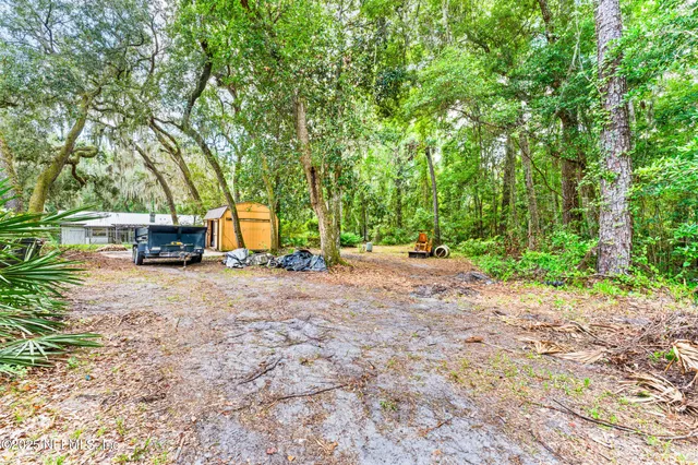 a view of a backyard with large trees