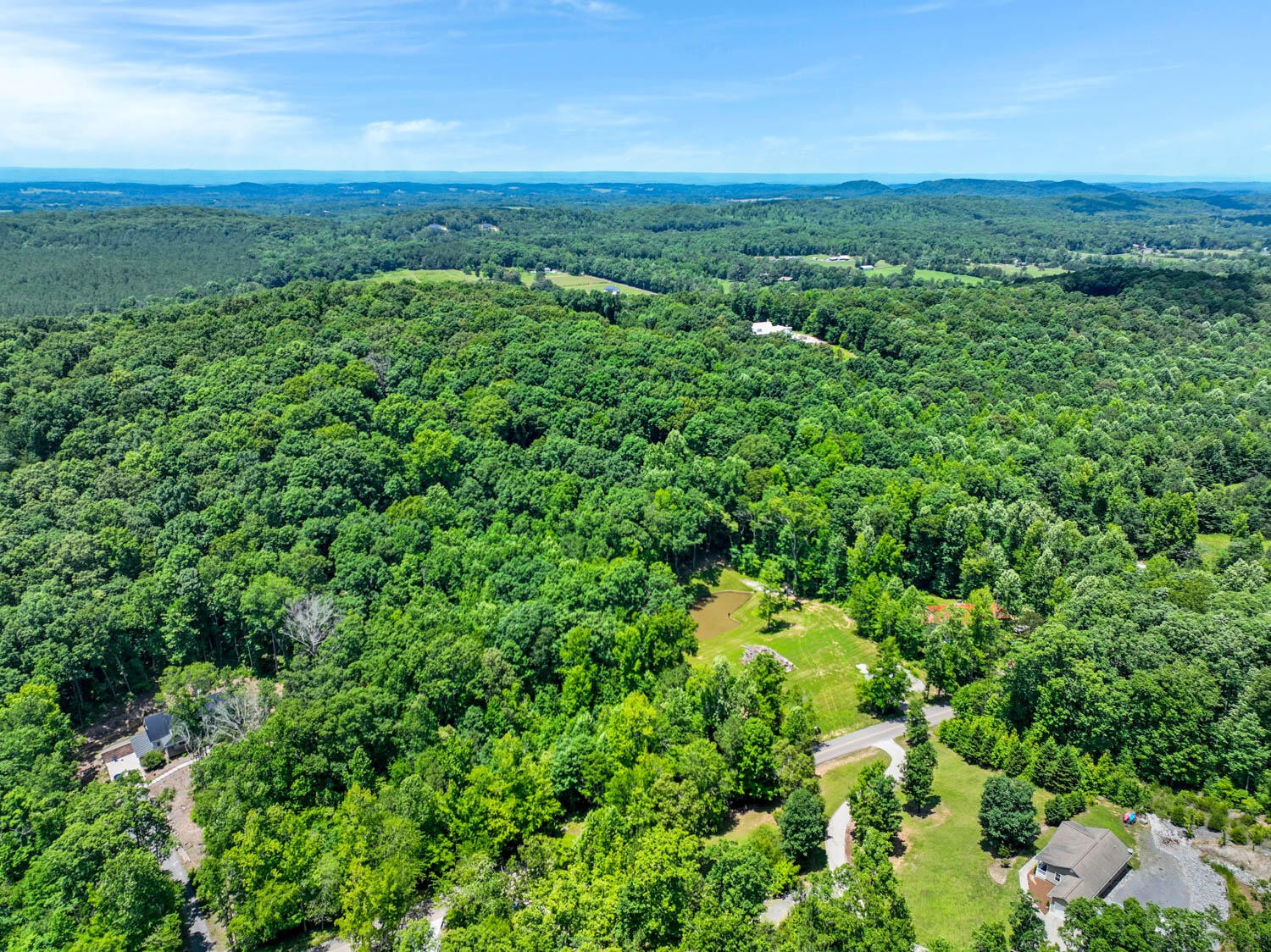 0 Van Davis Road Northwest Georgetown, TN 37336 - Photo 8 of 11 Gallery Image 8