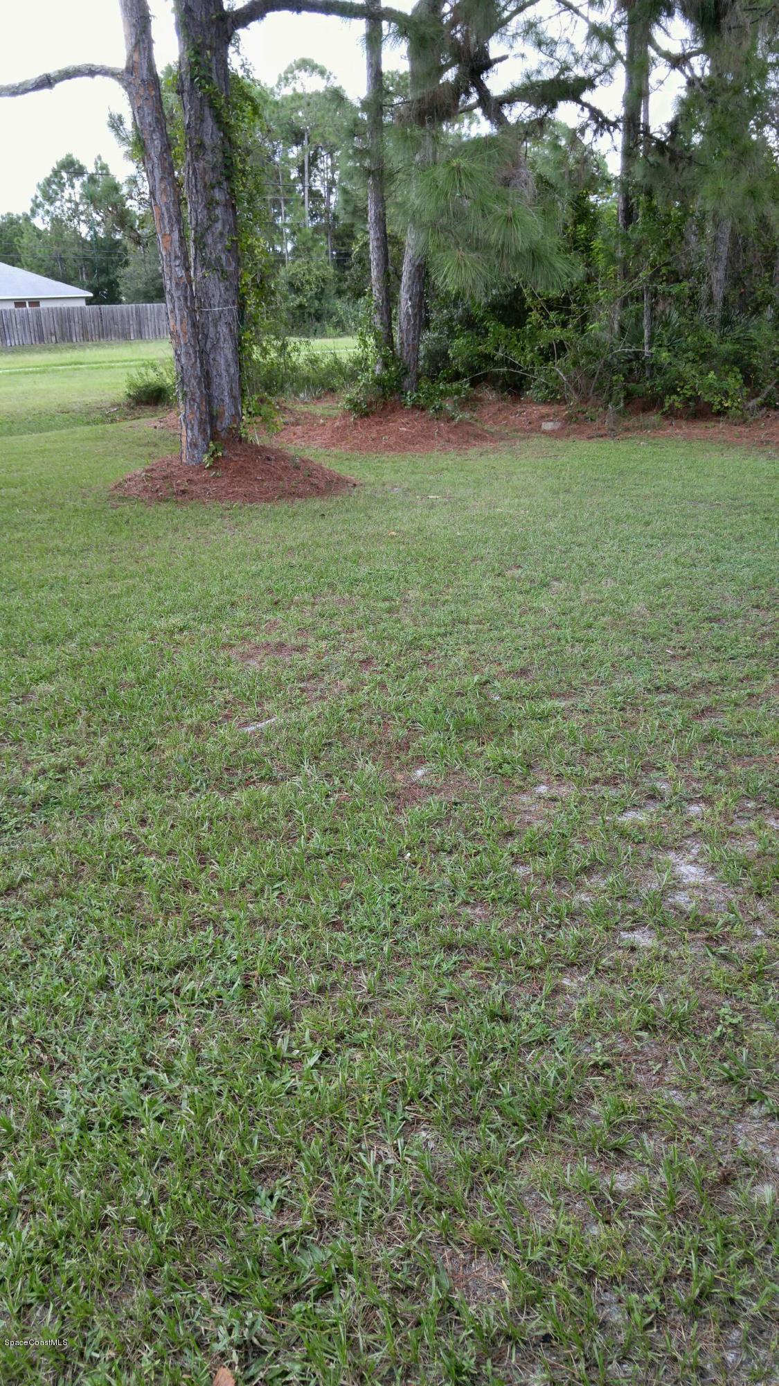 349 Warner Road Southwest Palm Bay, FL 32908 - Photo 12 of 14 backyard4 (4)