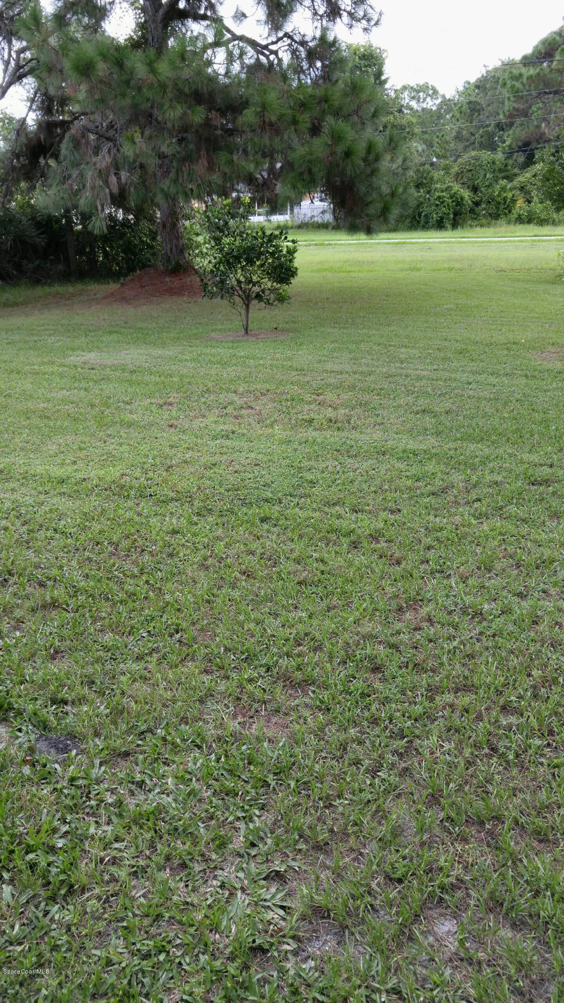349 Warner Road Southwest Palm Bay, FL 32908 - Photo 13 of 14 backyard1 (1)