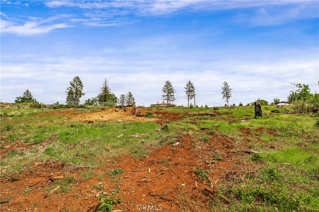 283 Roe Road Paradise, CA 95969 - Photo 18 of 33 a view of a field with an ocean