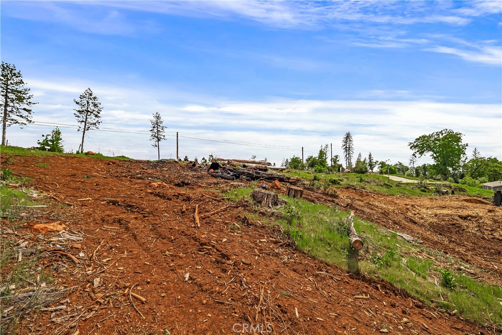 283 Roe Road Paradise, CA 95969 - Photo 20 of 33 a view of ocean with large trees