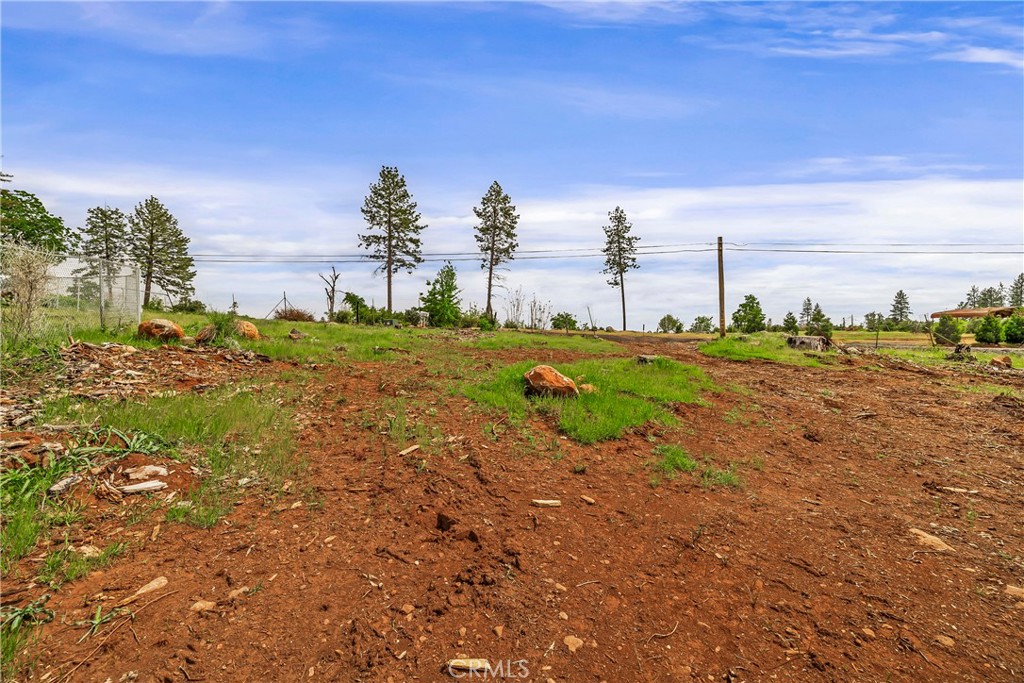 283 Roe Road Paradise, CA 95969 - Photo 22 of 33 a view of a big room with a big yard