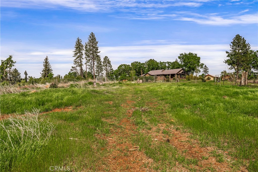 283 Roe Road Paradise, CA 95969 - Photo 24 of 33 a backyard of a house with lots of green space and mountain view in back
