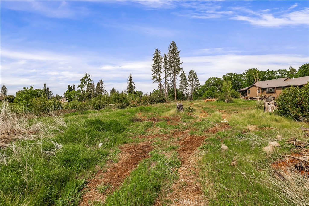 283 Roe Road Paradise, CA 95969 - Photo 26 of 33 a view of a big yard with swimming pool and mountain view