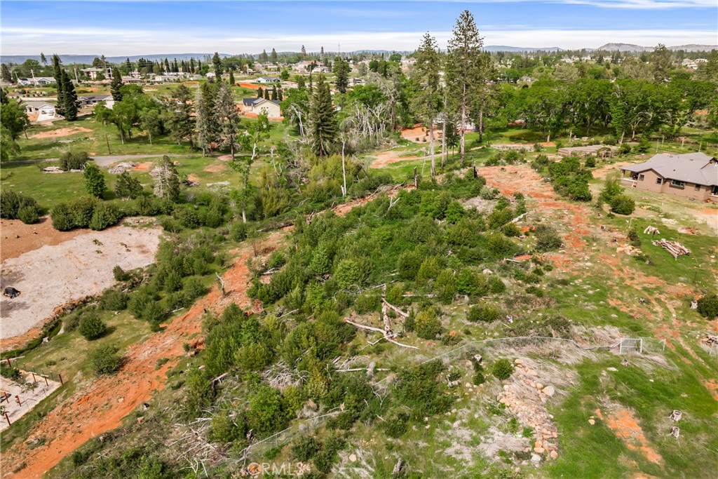 283 Roe Road Paradise, CA 95969 - Photo 27 of 33 a view of a city with lush green forest